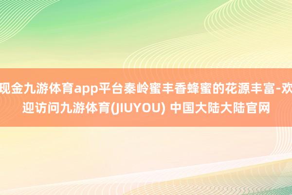 现金九游体育app平台秦岭蜜丰香蜂蜜的花源丰富-欢迎访问九游体育(JIUYOU) 中国大陆大陆官网