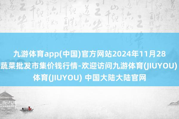 九游体育app(中国)官方网站2024年11月28日甘肃靖远县瓜果蔬菜批发市集价钱行情-欢迎访问九游体育(JIUYOU) 中国大陆大陆官网