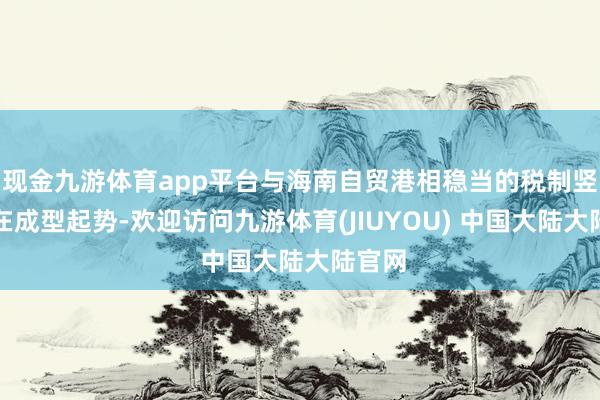 现金九游体育app平台与海南自贸港相稳当的税制竖馈遗在成型起势-欢迎访问九游体育(JIUYOU) 中国大陆大陆官网